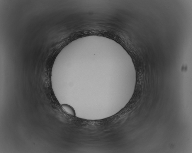 X0000089411109200707131755