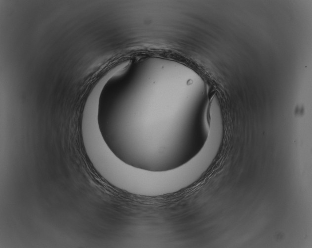 X0000089411110200707131755