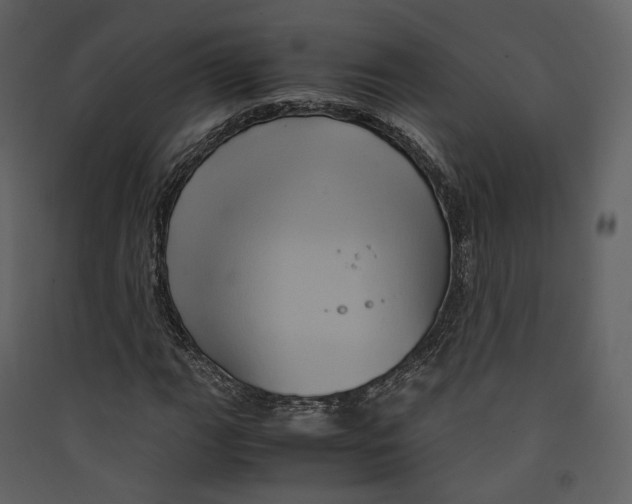 X0000089411111200707131755