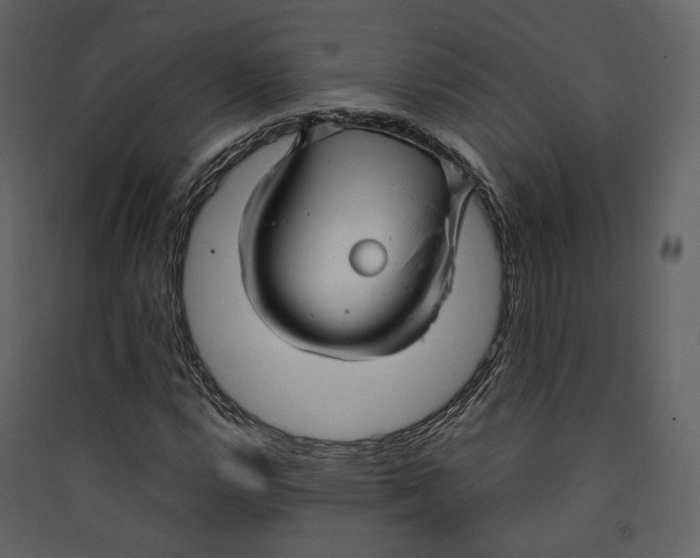X0000089411112200707131755