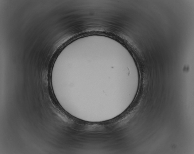 X0000089411113200707131755