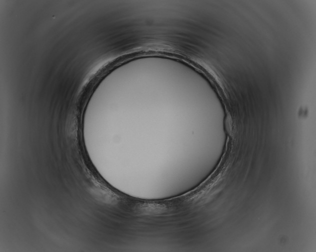 X0000089411115200707131755