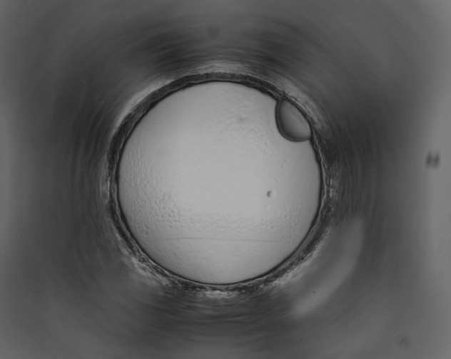 X0000089411117200707131755