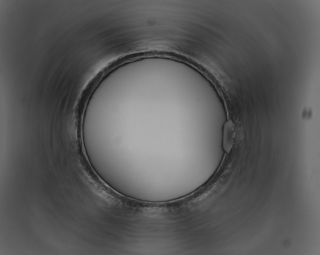 X0000089411118200707131755