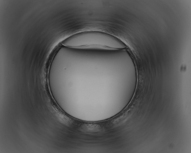 X0000089411119200707131755