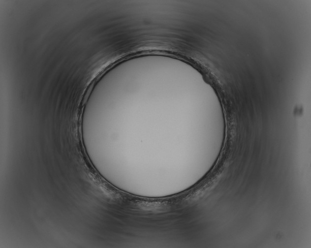 X0000089411121200707131755