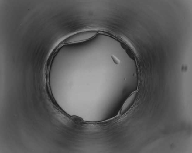 X0000089411124200707131755