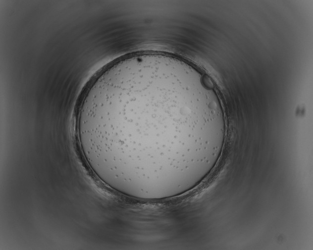 X0000089411125200707131755