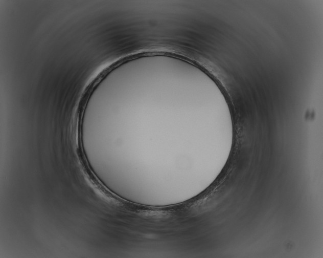 X0000089411127200707131755