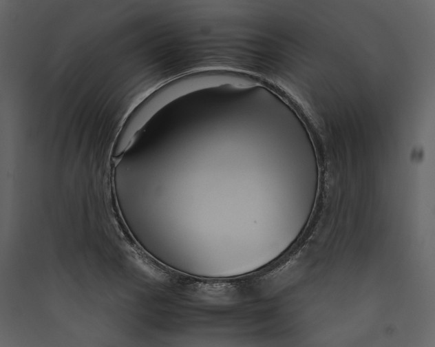 X0000089411129200707131755