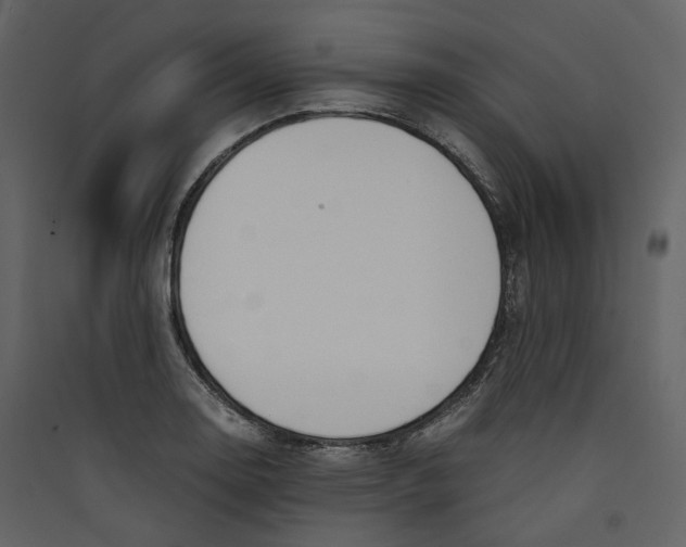 X0000089411130200707131755