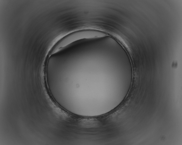 X0000089411133200707131755