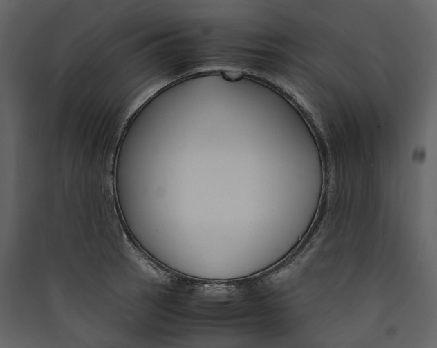 X0000089411137200707131755