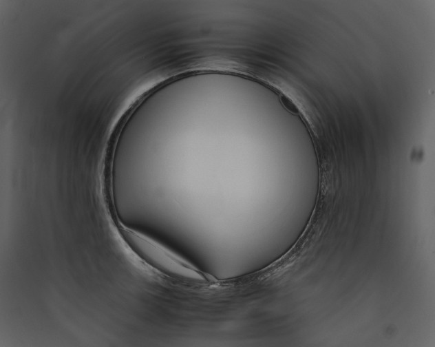 X0000089411139200707131755