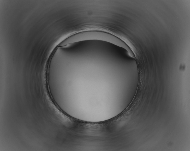 X0000089411142200707131755
