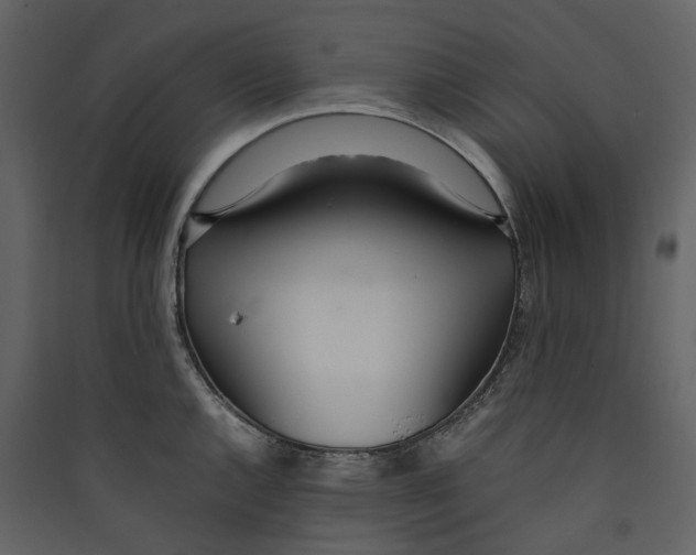 X0000089411144200707131755