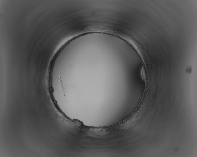 X0000089411147200707131755