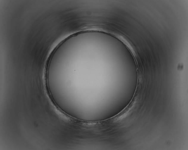 X0000089411149200707131755