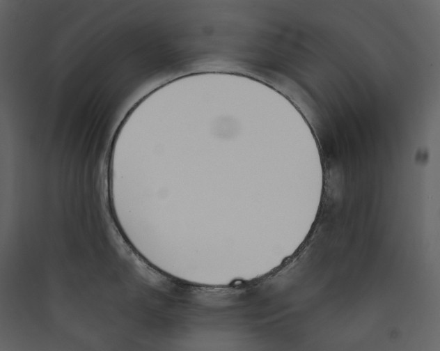 X0000089411150200707131755