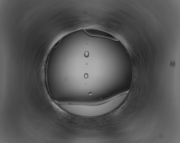 X0000089411151200707131755