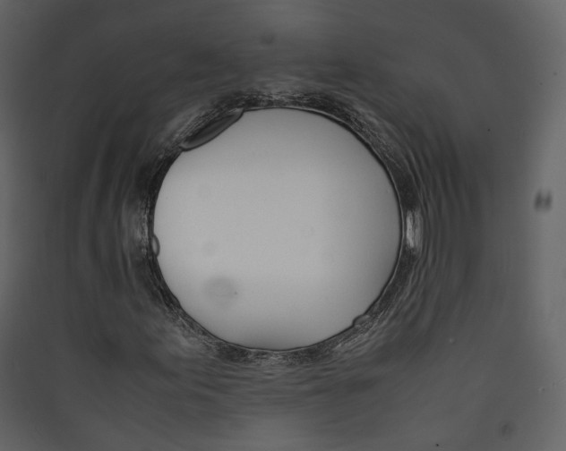 X0000089411155200707131755