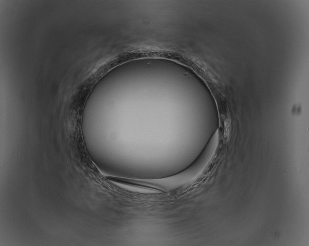 X0000089411157200707131755
