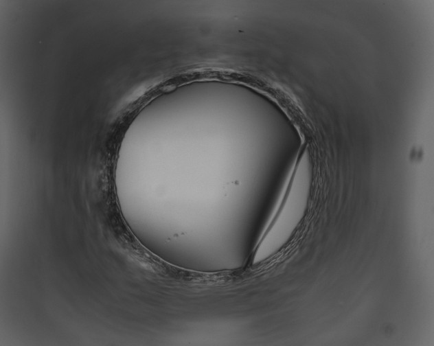 X0000089411159200707131755