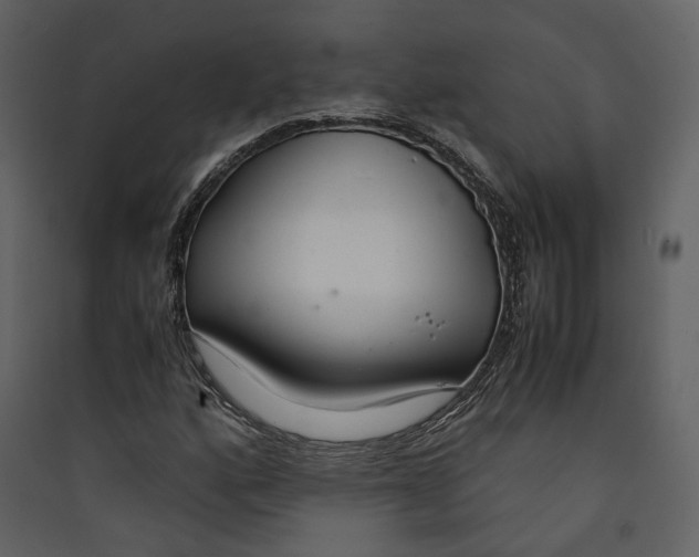 X0000089411160200707131755