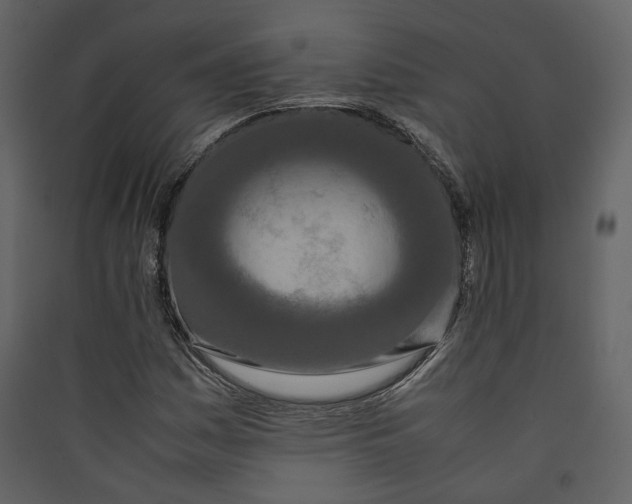 X0000089411161200707131755