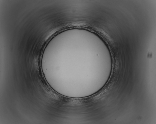 X0000089411162200707131755