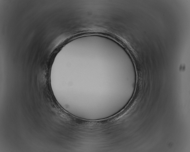 X0000089411163200707131754