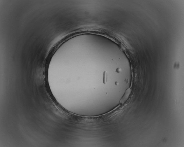 X0000089411164200707131754