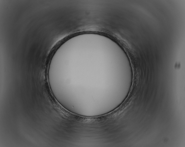 X0000089411166200707131754
