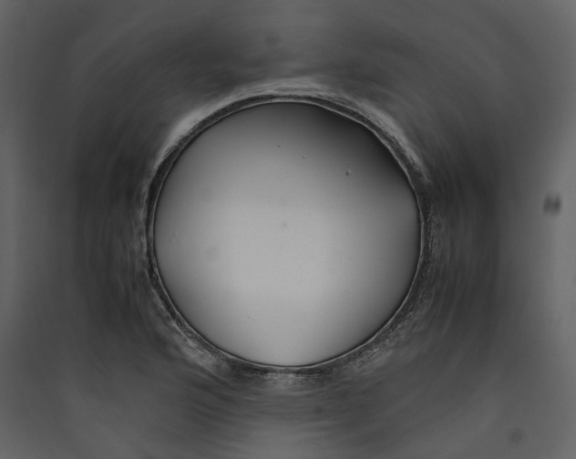 X0000089411176200707131754