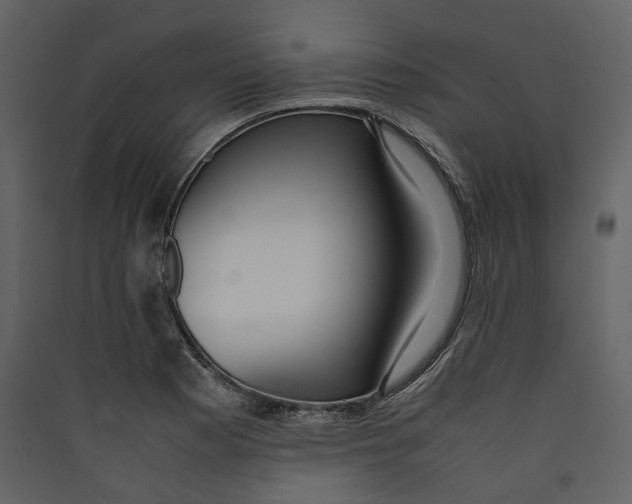 X0000089411177200707131754