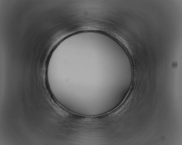 X0000089411179200707131754