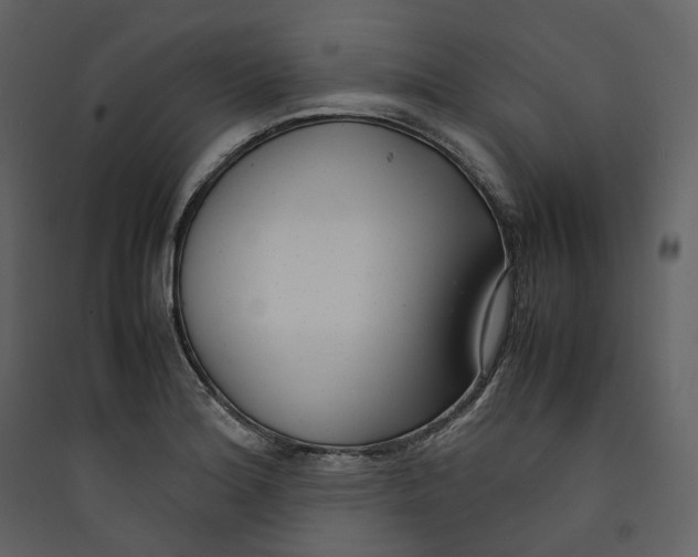 X0000089411180200707131754