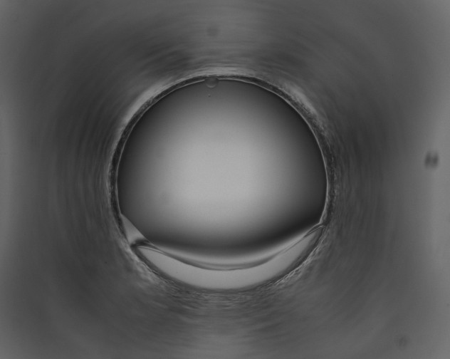 X0000089411181200707131754