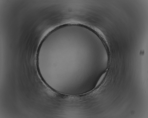 X0000089411183200707131754