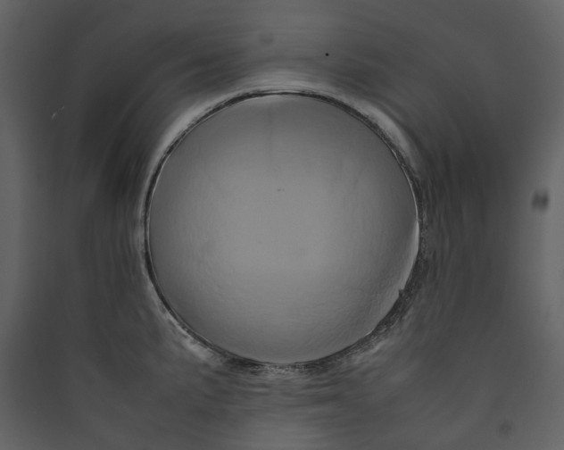 X0000089411191200707131754