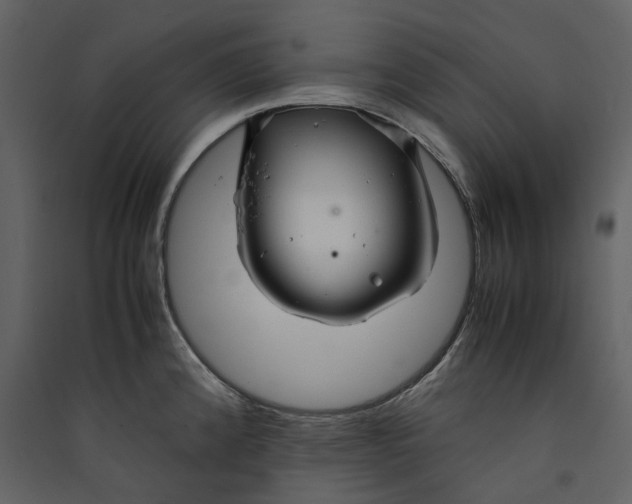X0000089411192200707131754