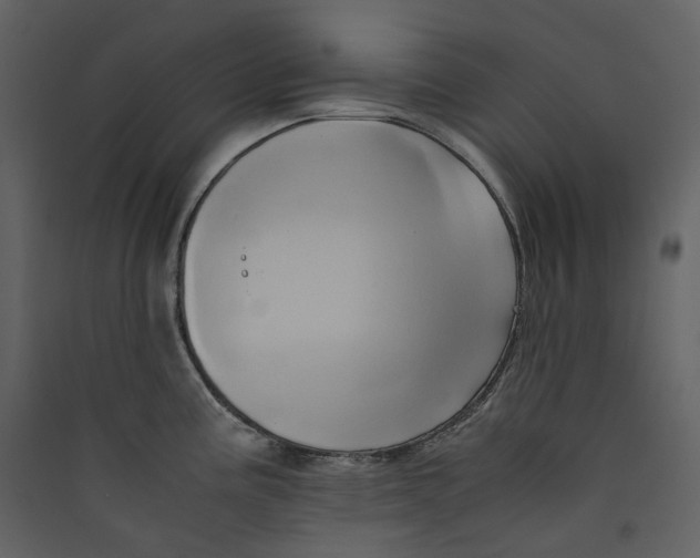 X0000089411195200707131754