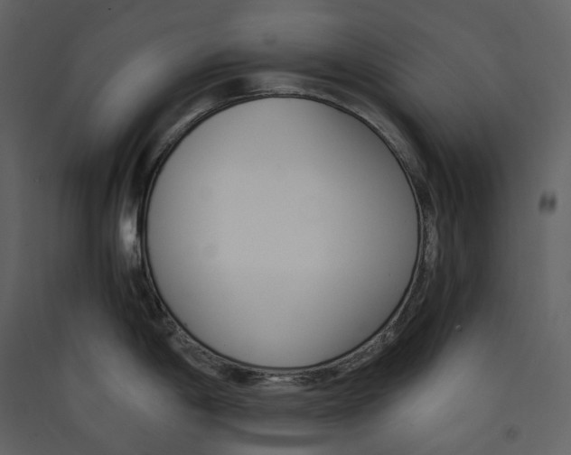 X0000089411198200707131754