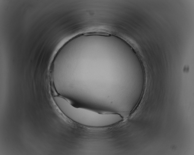 X0000089411200200707131754