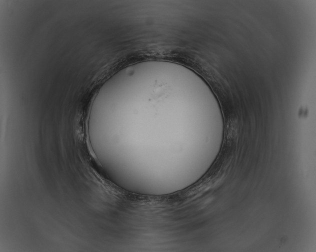 X0000089411202200707131753