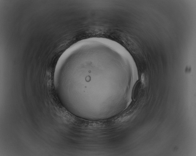 X0000089411203200707131753