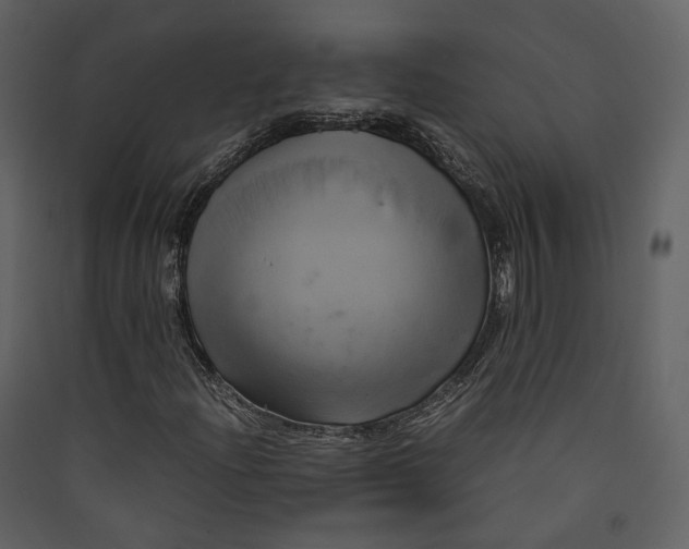 X0000089411204200707131753