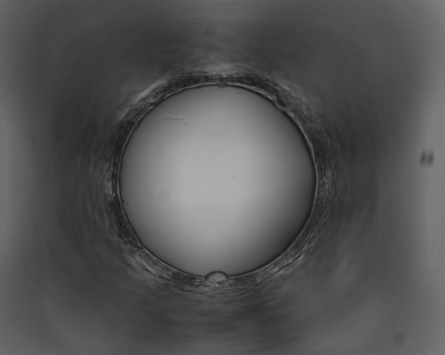 X0000089411205200707131753