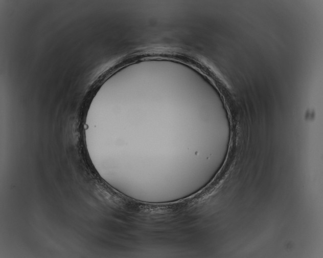 X0000089411213200707131753