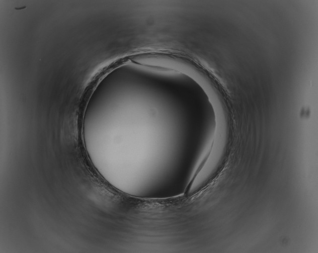 X0000089411214200707131753
